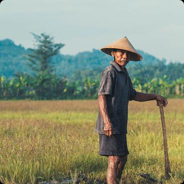 Indonesian Man Farming