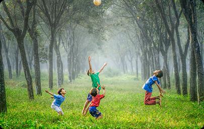 Kids Playing Inside The Forest