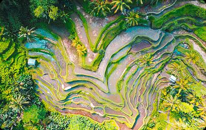Lagoon Located In The Heart Of Indonesia