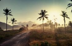 Wild Beach Located Near The Coast Of Indonesia